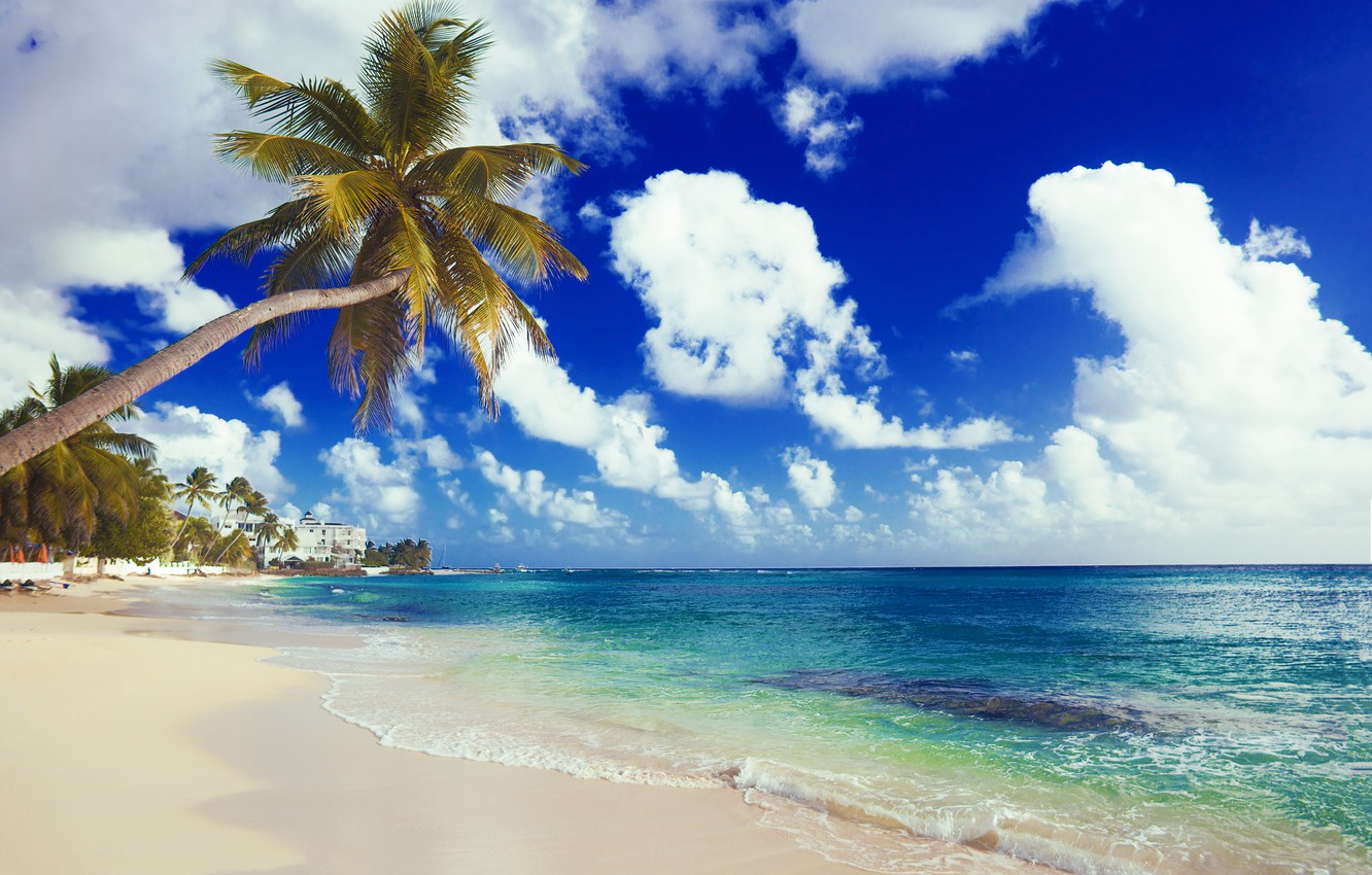 Карибское море пляж Баунти