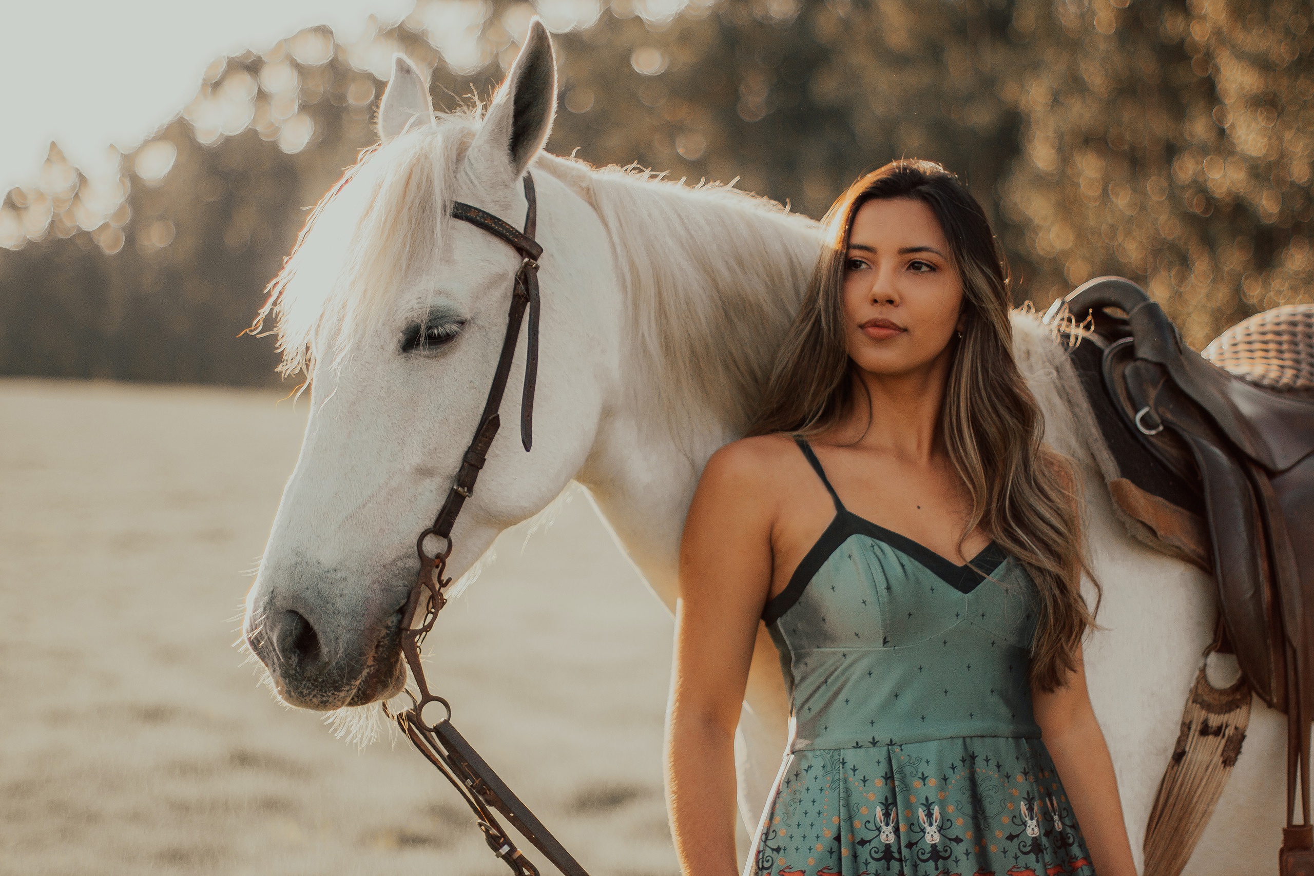 Фото с лошадьми девушки