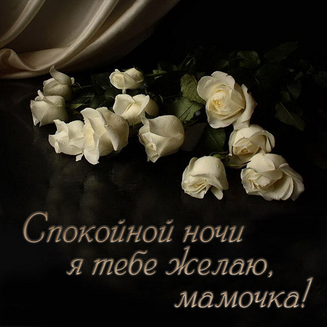 Белые розы спокойной ночи с пожеланиями