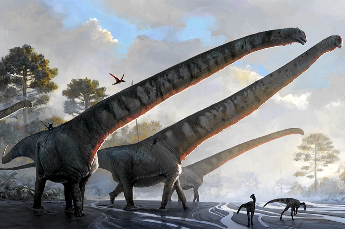 динозавр длинношей - 9094033