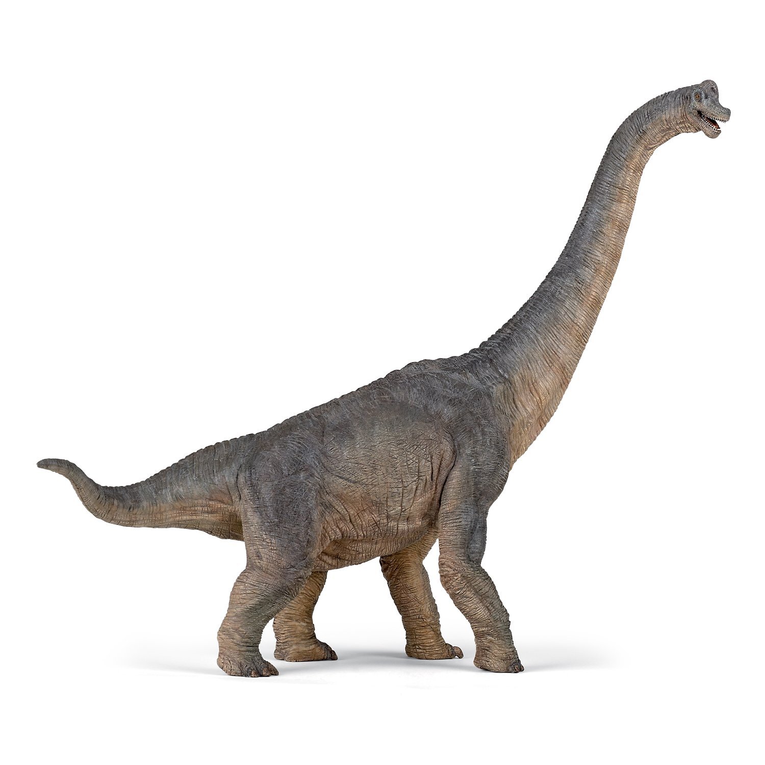 Papo гигантозавр