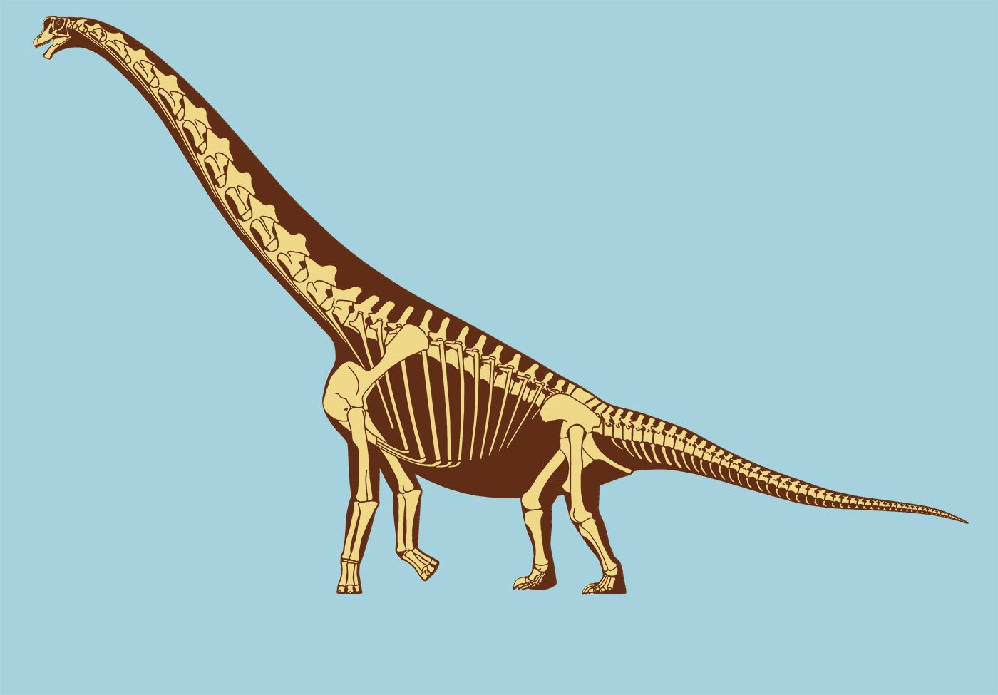 Брахиозавр динозавр кости