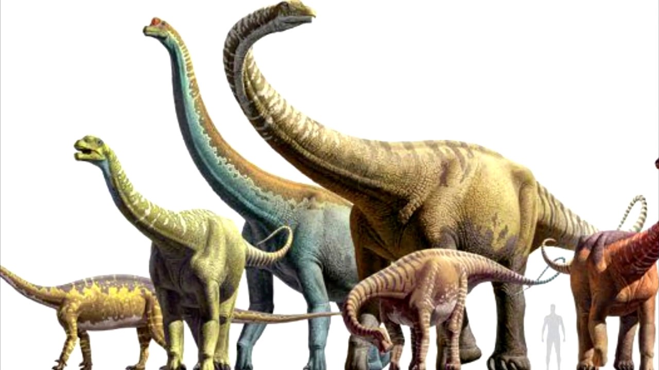 Титанозавр Сейсмозавр