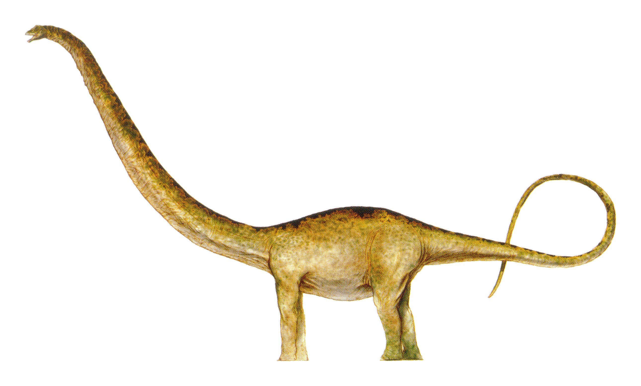 Зауропод Маменчизавр