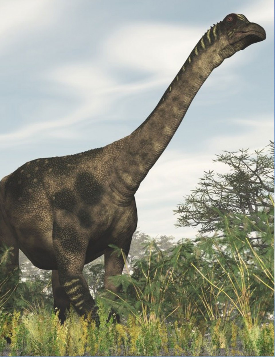 Антарктозавр (Antarctosaurus)