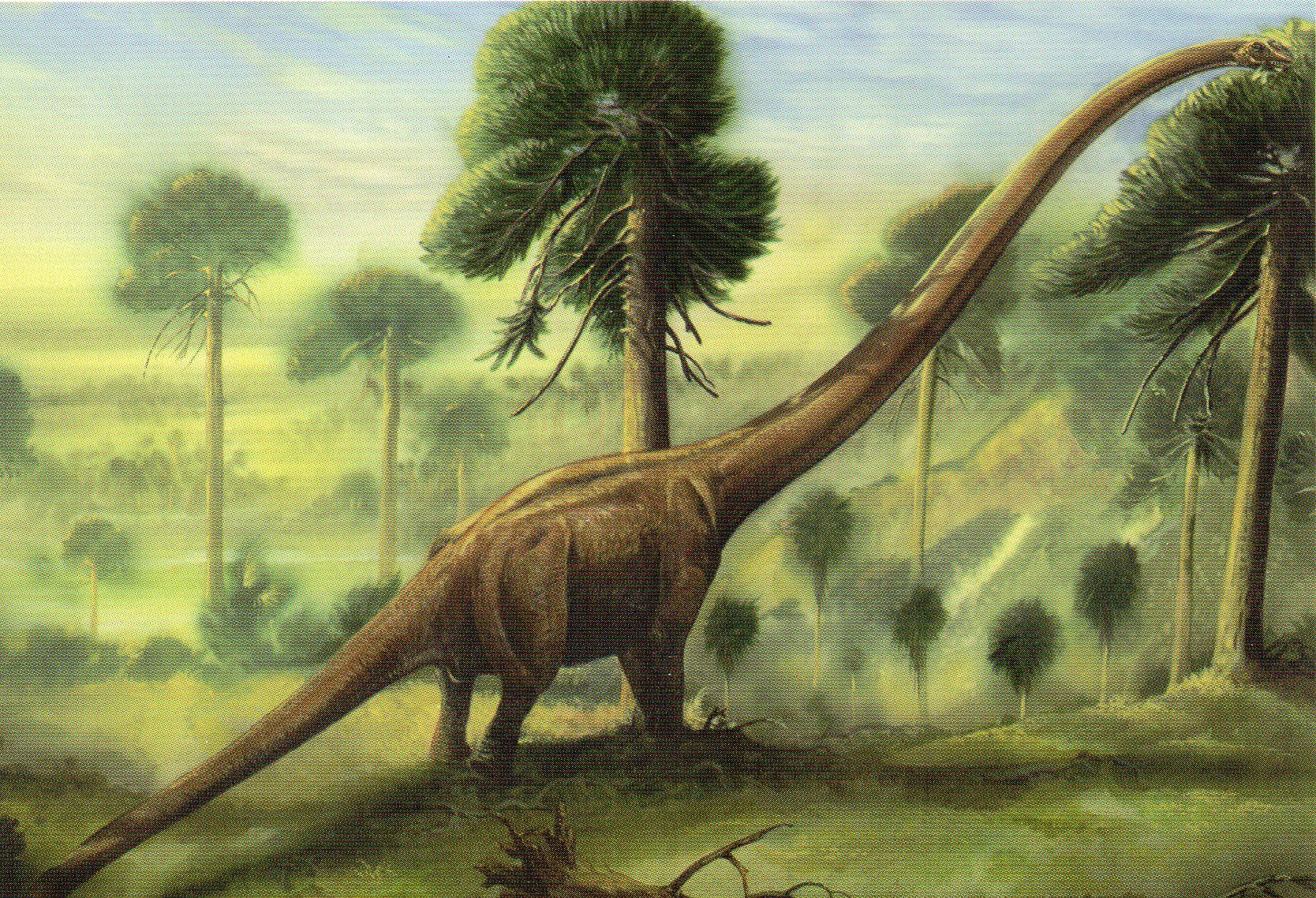 Mamenchisaurus Sinocanadorum