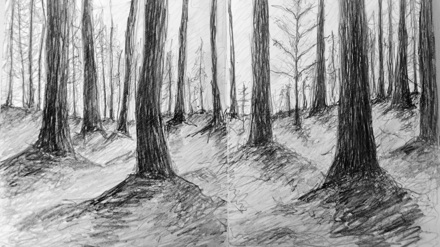 Нарисовать темный лес поэтапно