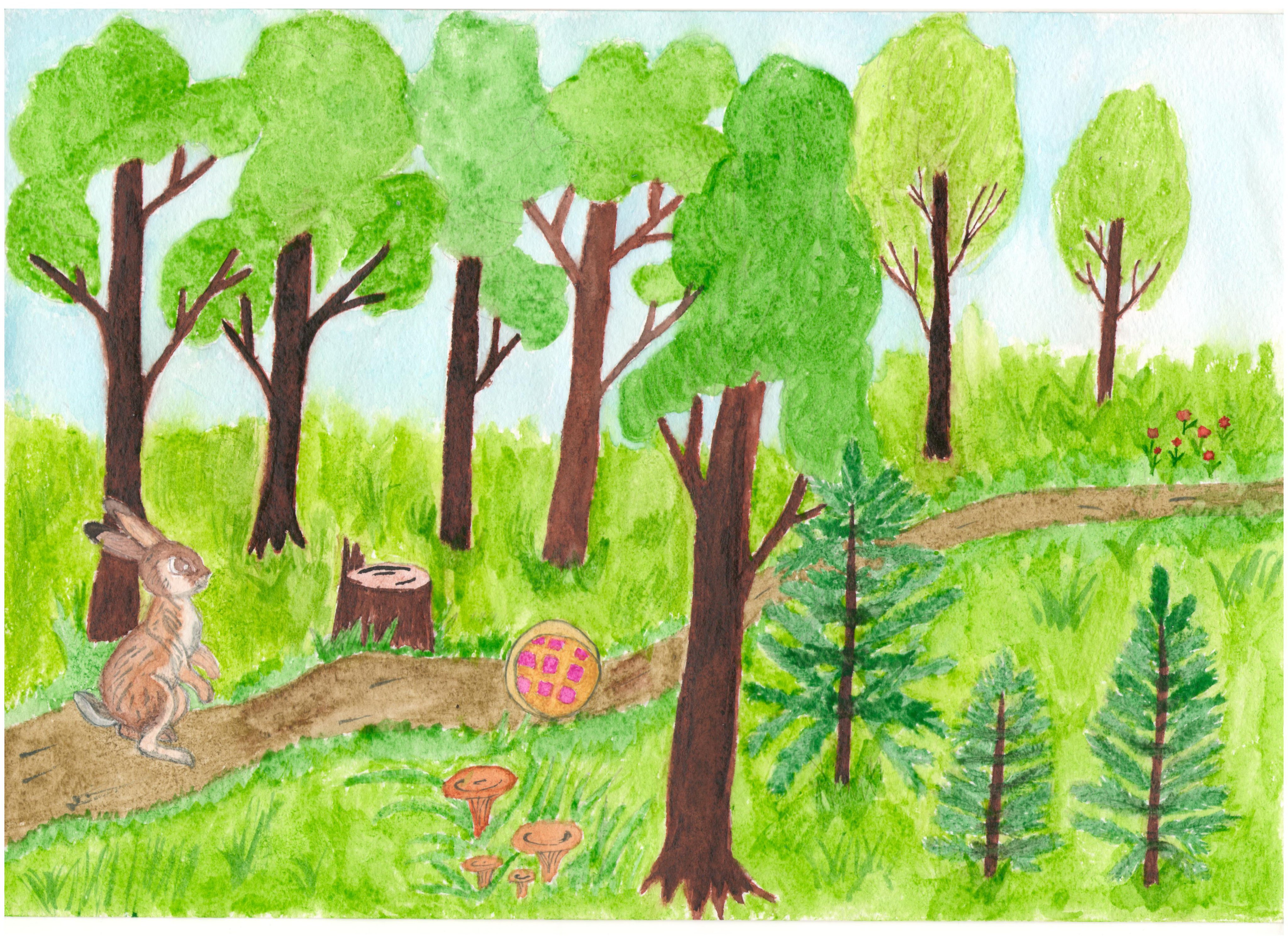 Рисунок леса карандашом цветным