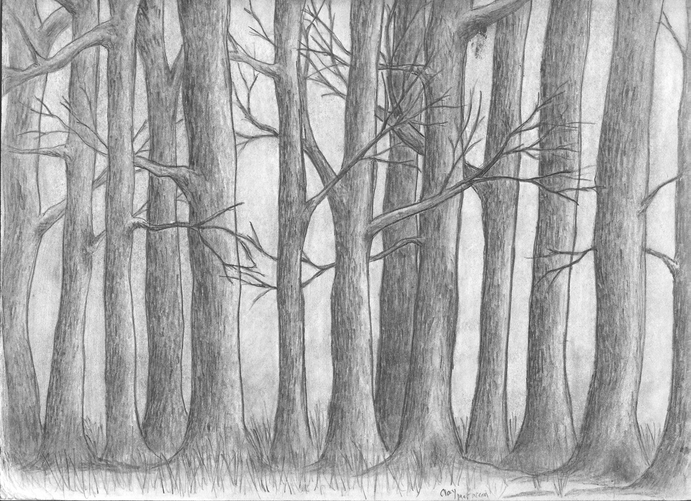 Рисунок лес карандашом для срисовки легкие