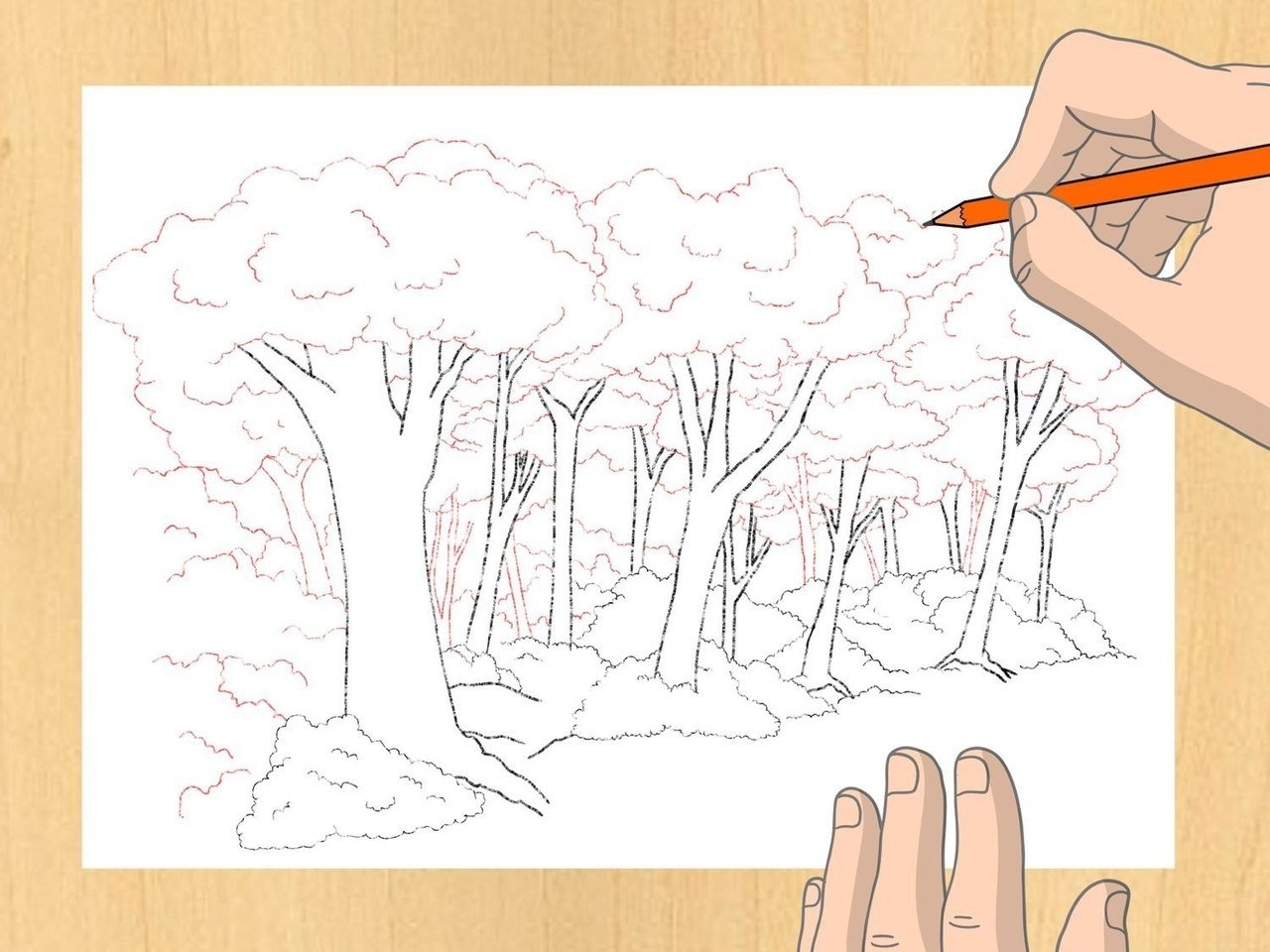 Рисунки леса карандашом для начинающих