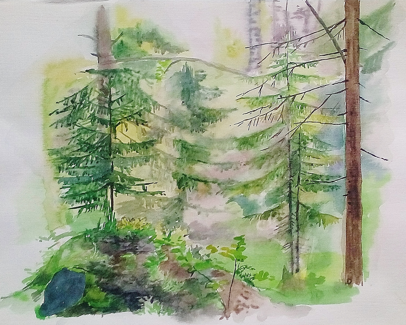 Фото леса нарисованного