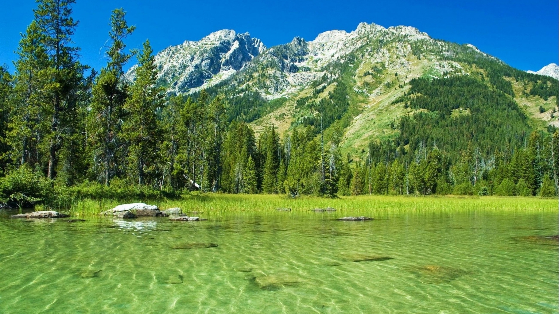 Лесное озеро в горах