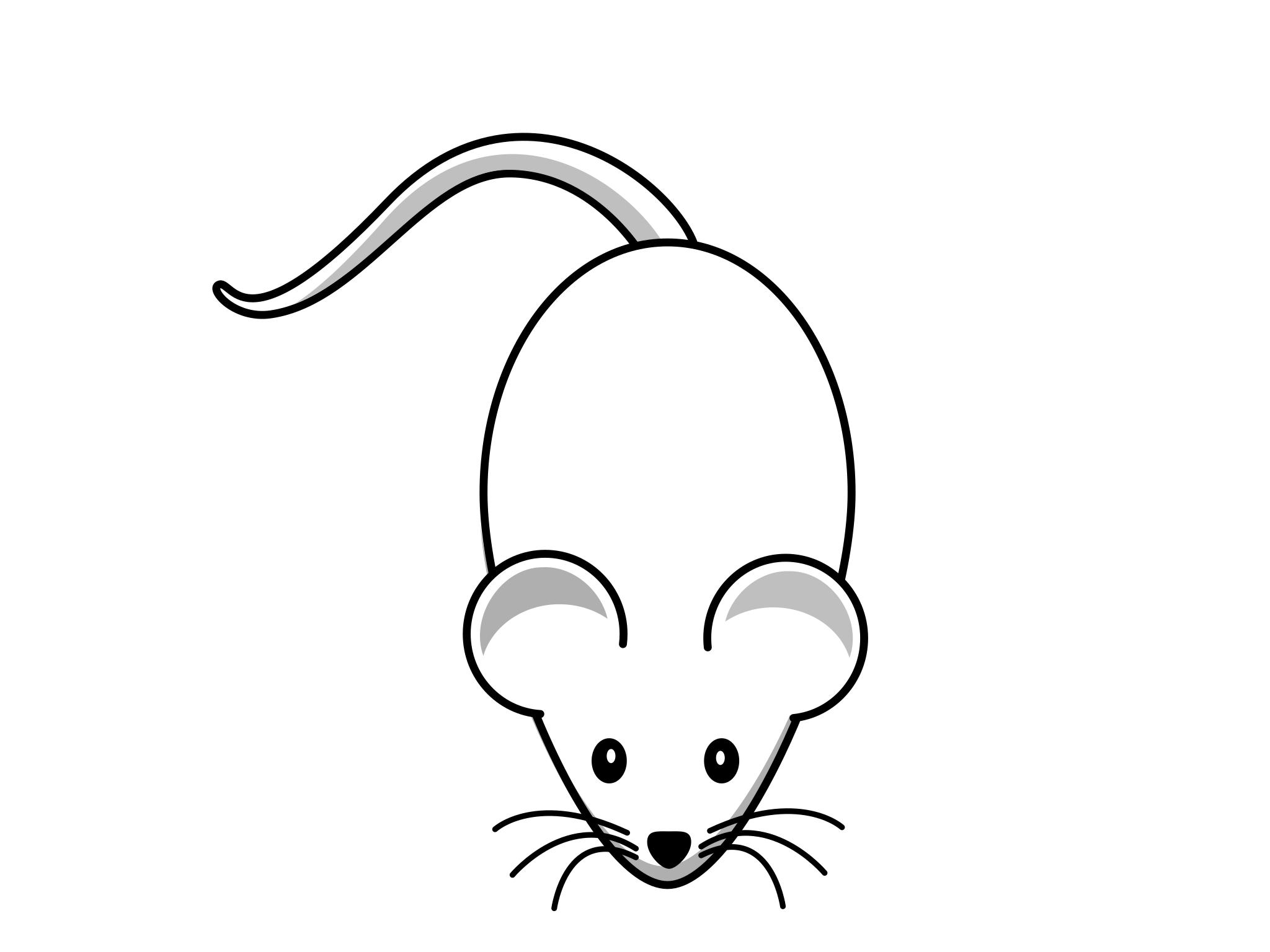 Мышка картинка для детей на прозрачном фоне