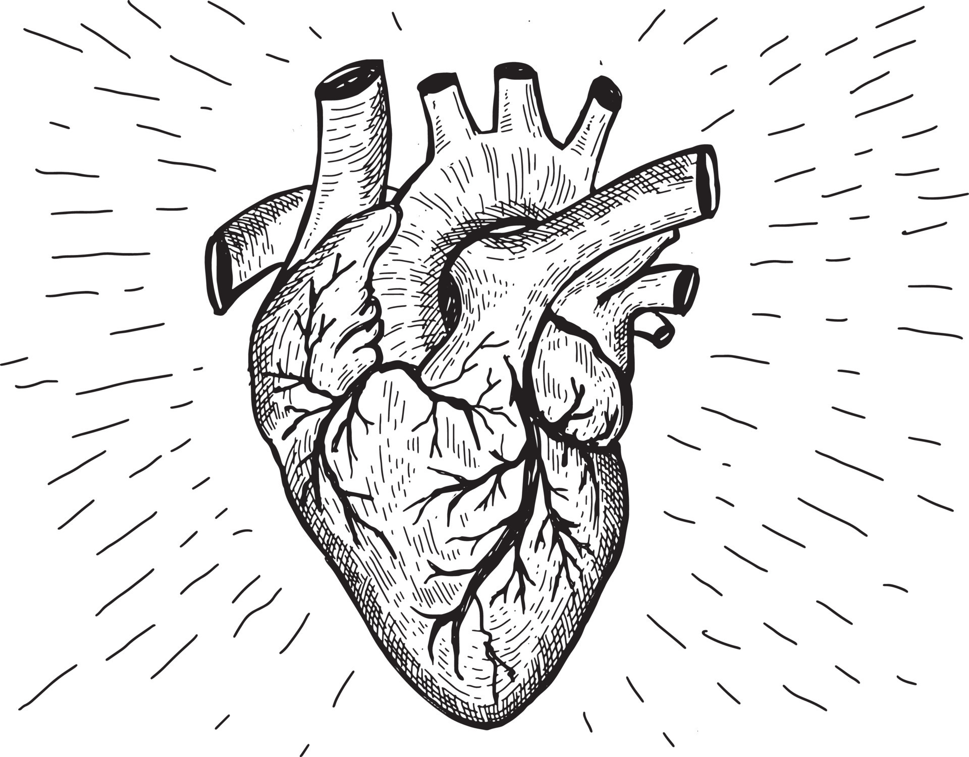 Татуировка эскиз Анатомическое сердце не большое