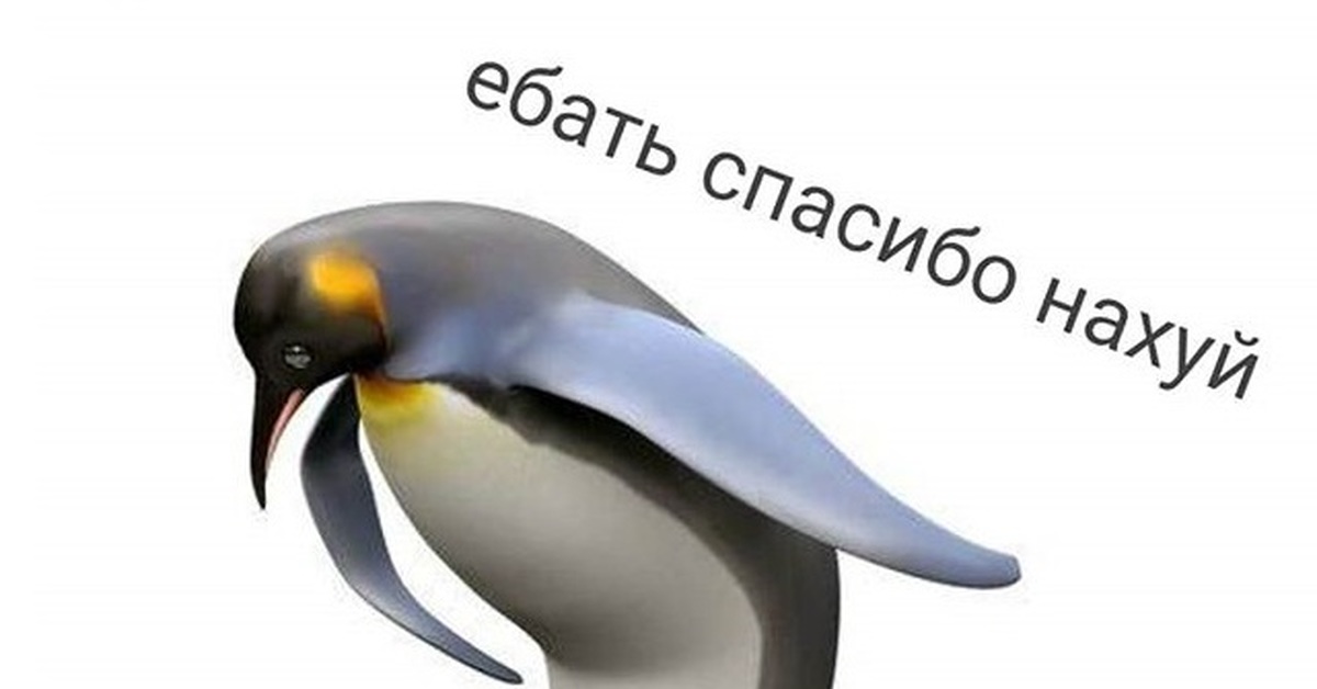 Пингвин поклон