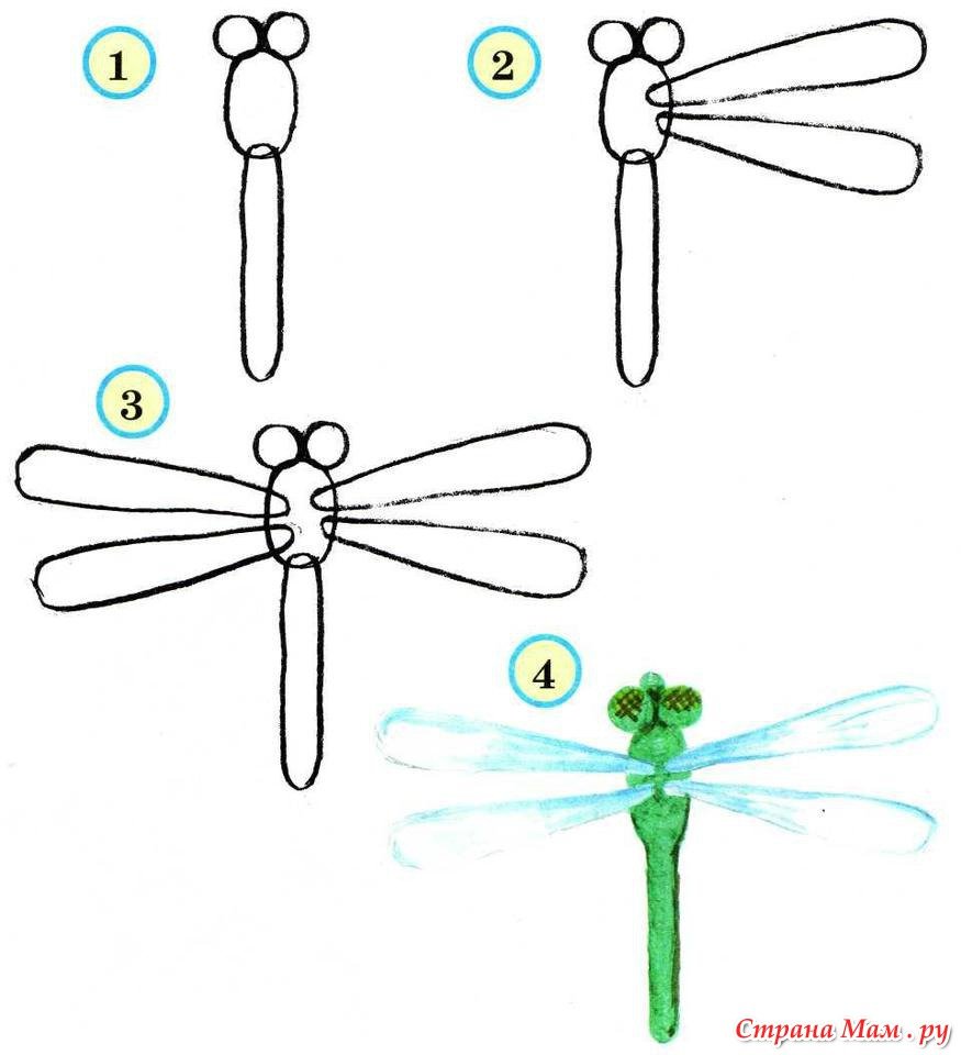 Схема рисования насекомых для дошкольников