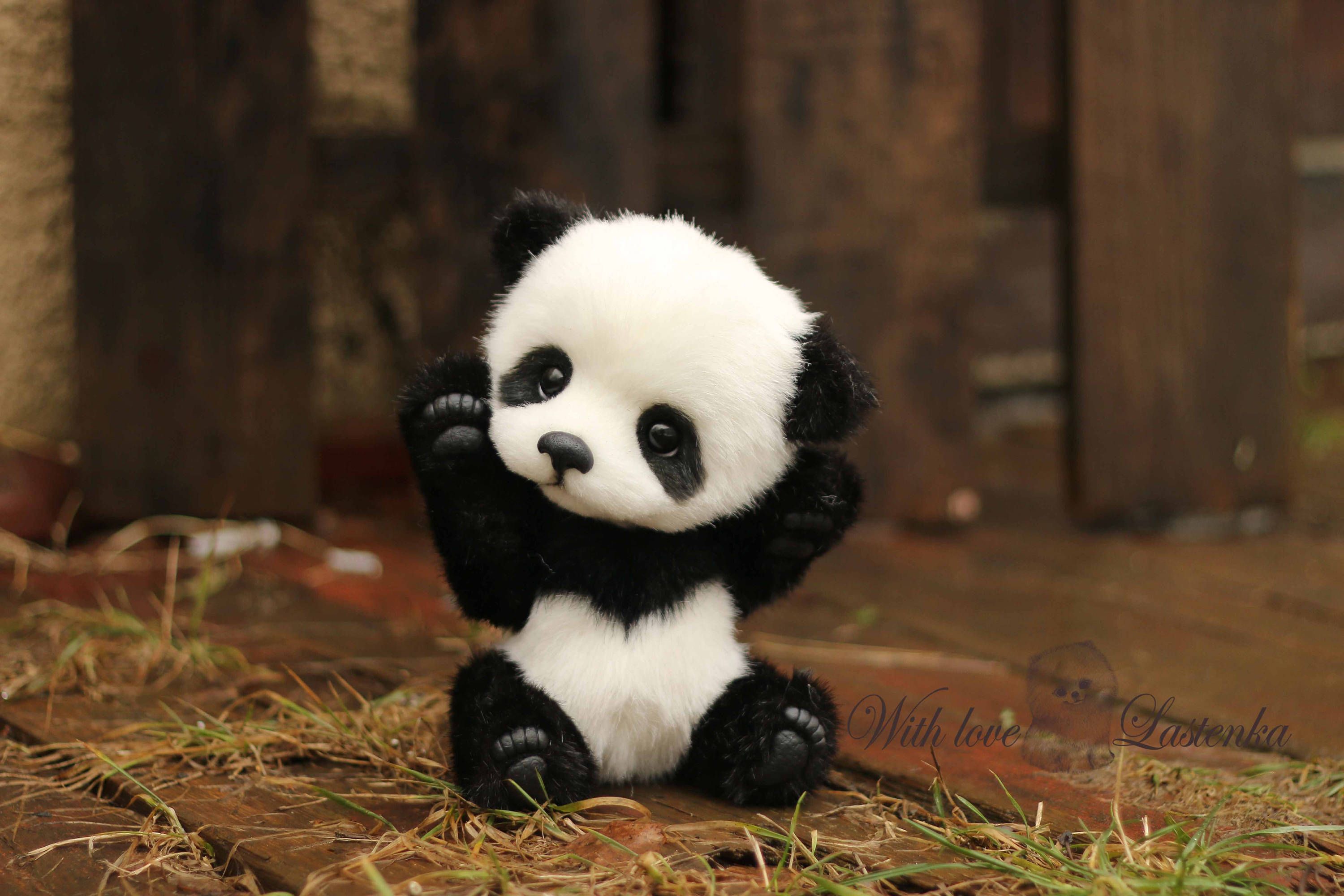 Самая милая Панда