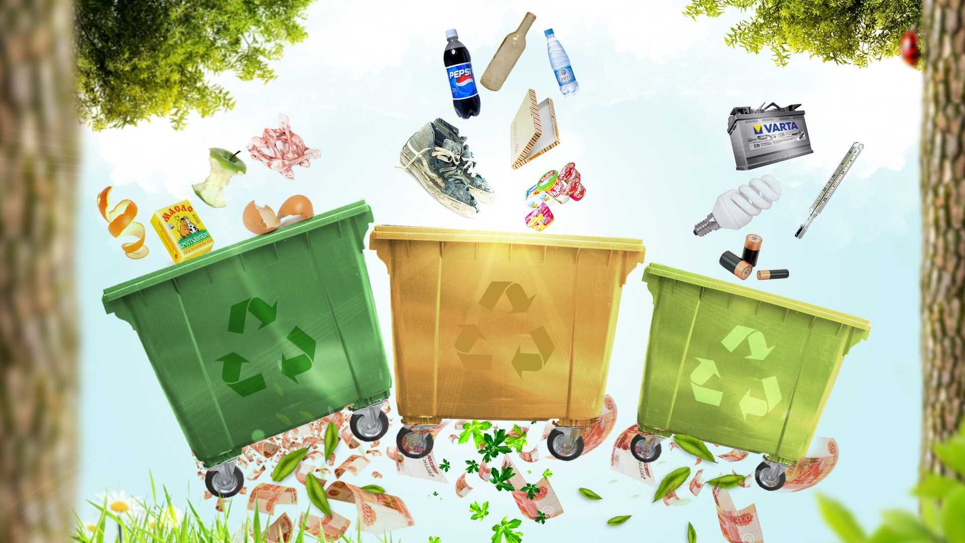 Экология сортировка мусора