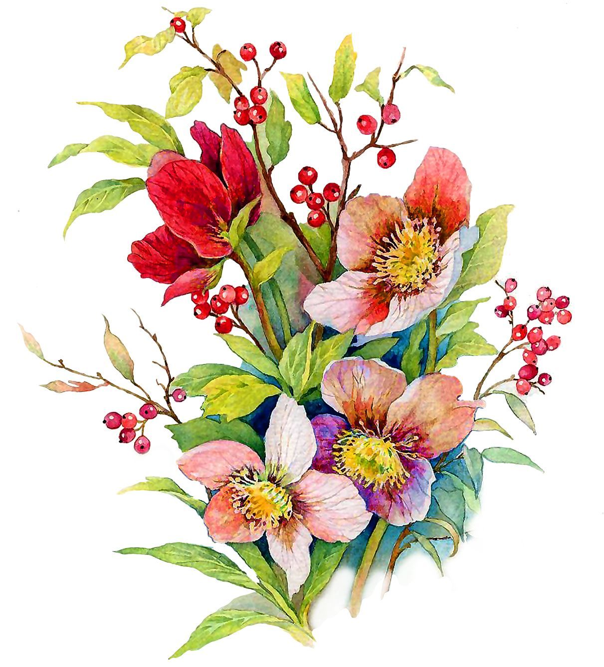Открытки с изображением цветов