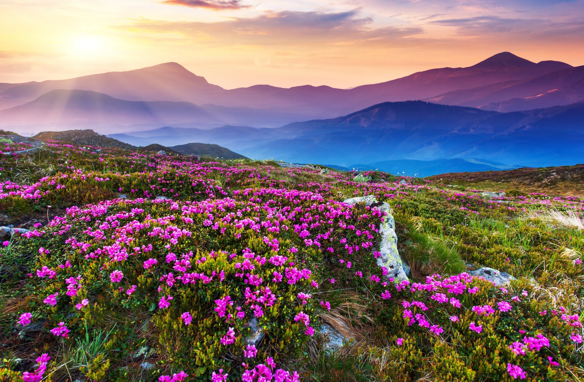 Цветочная Долина, Перуджа, Италия