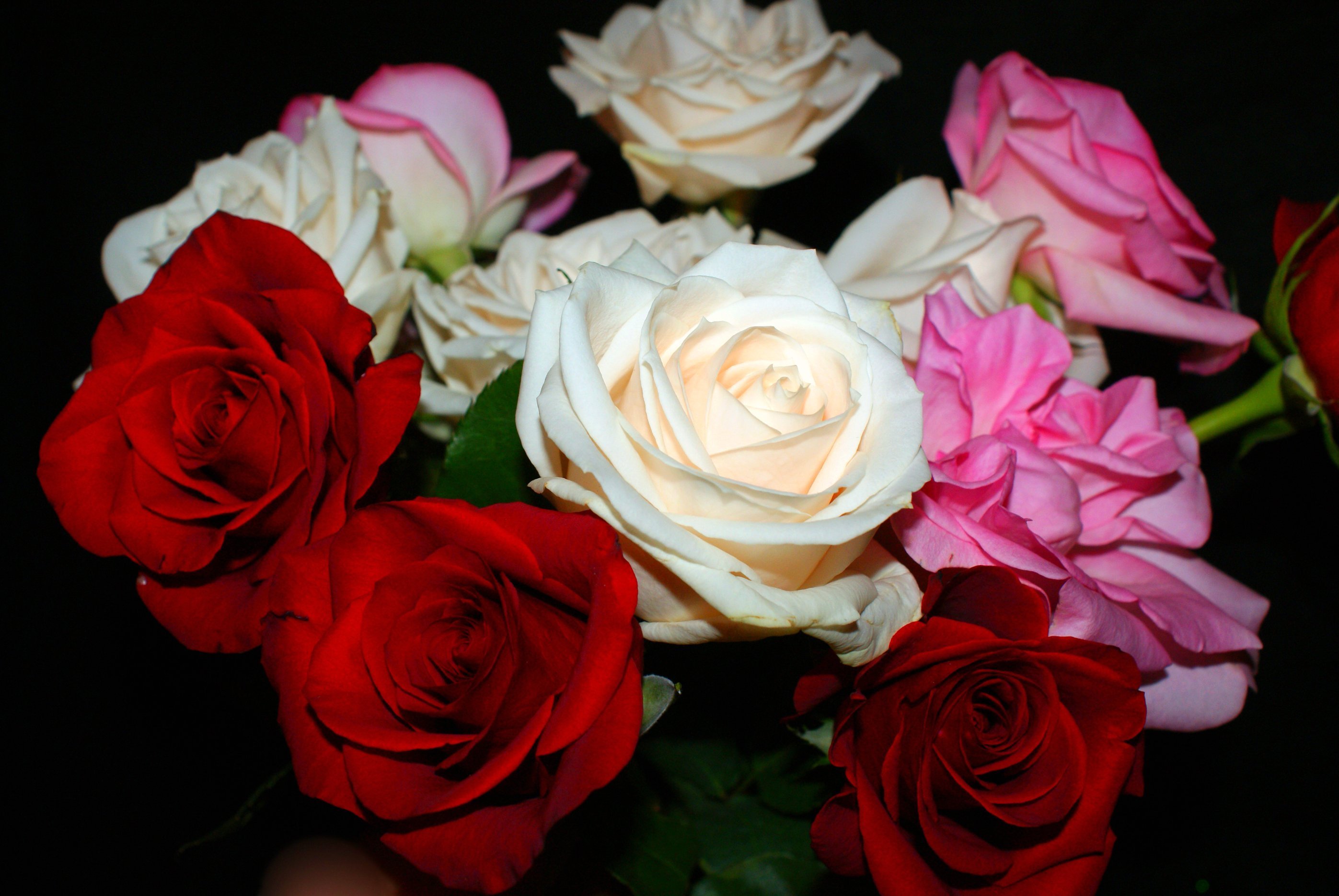 Букет розовых роз на темном фоне