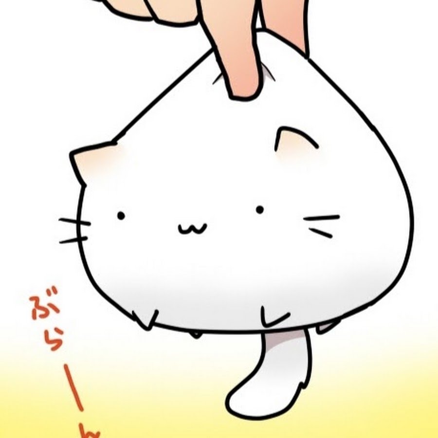 Иикару кот