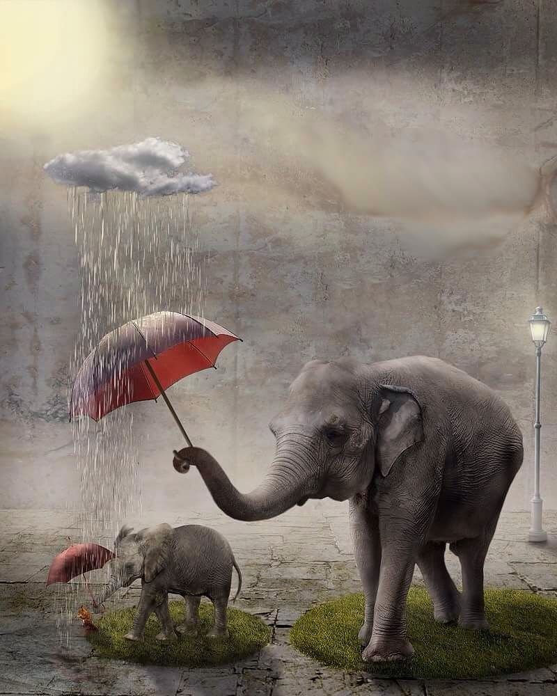 Слон с зонтиком из ткани
