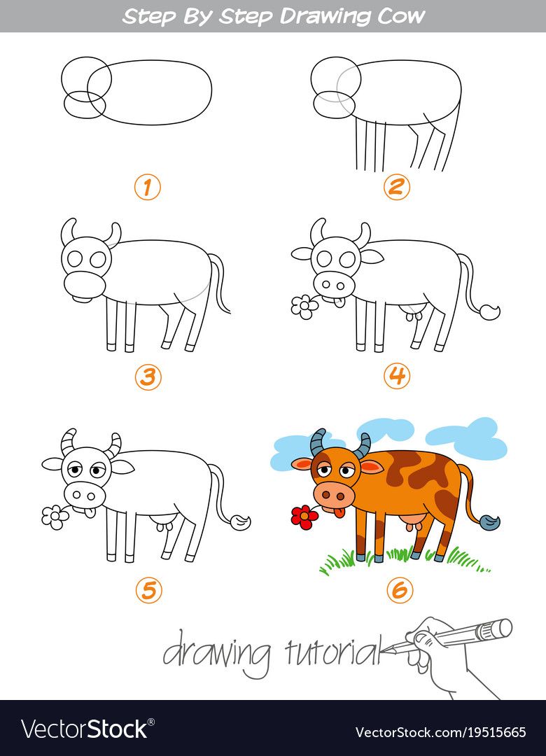 Поэтапный рисунок коровы
