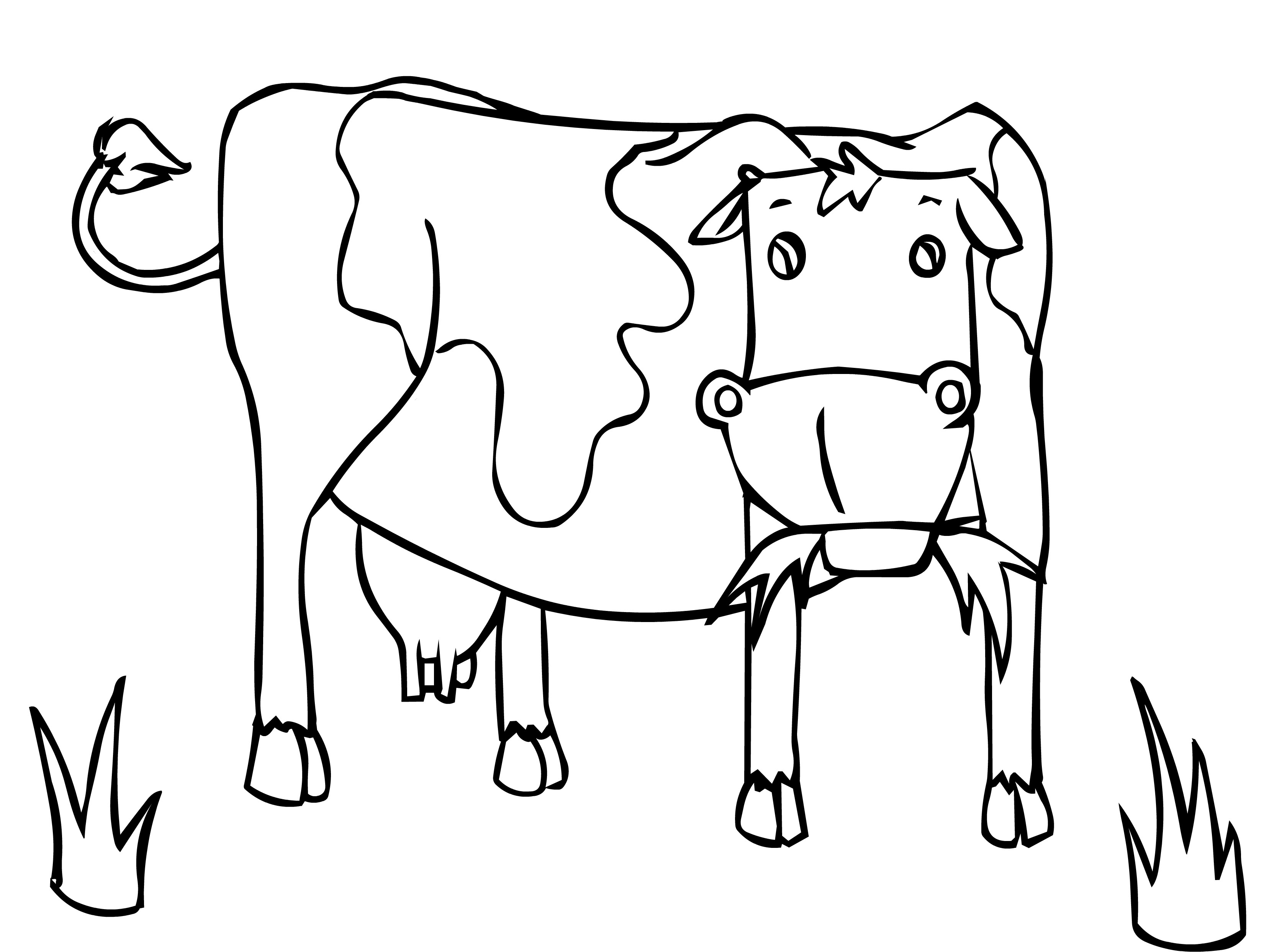 Раскраски про животных корова