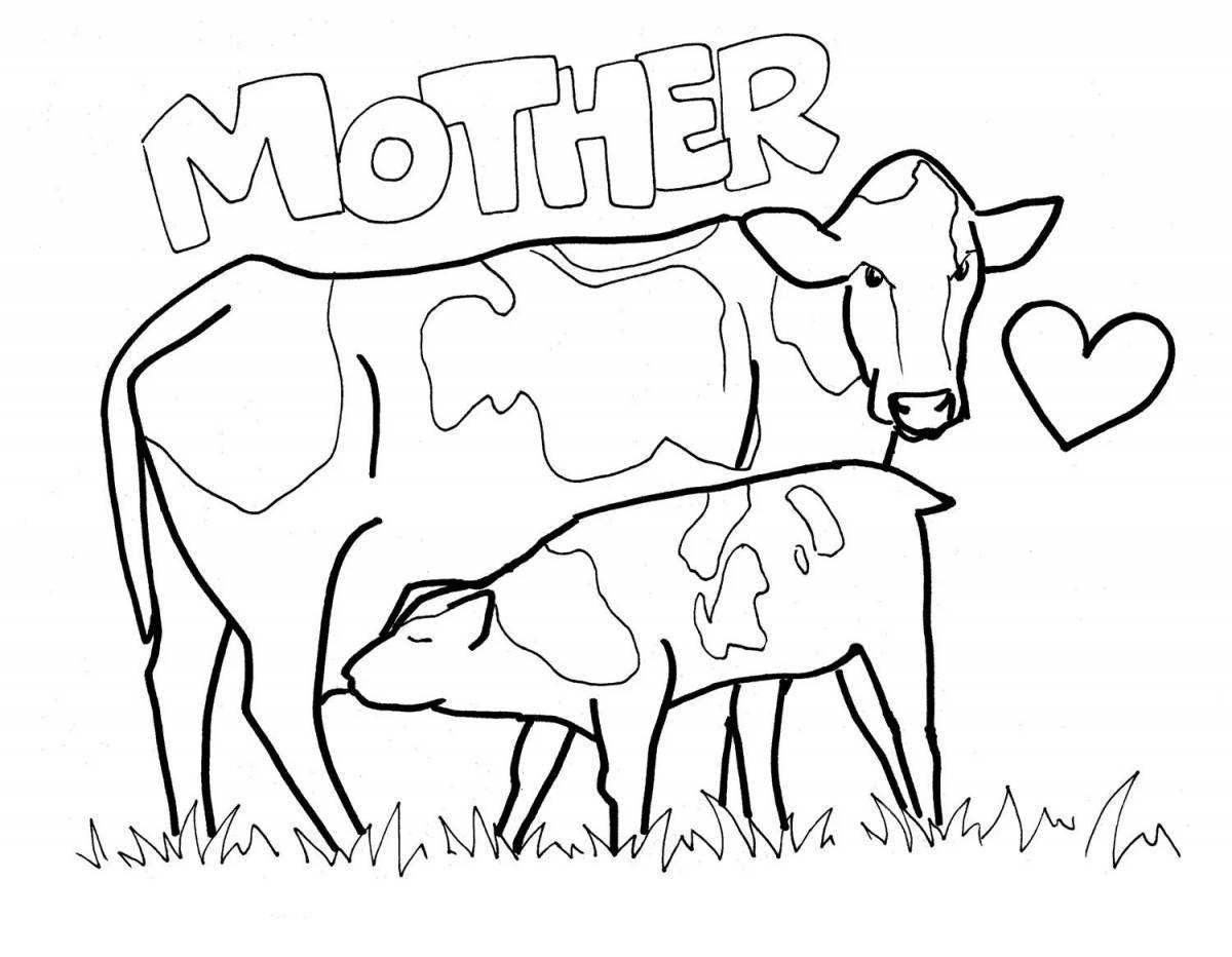 A Cow, картинка раскраска с подписью