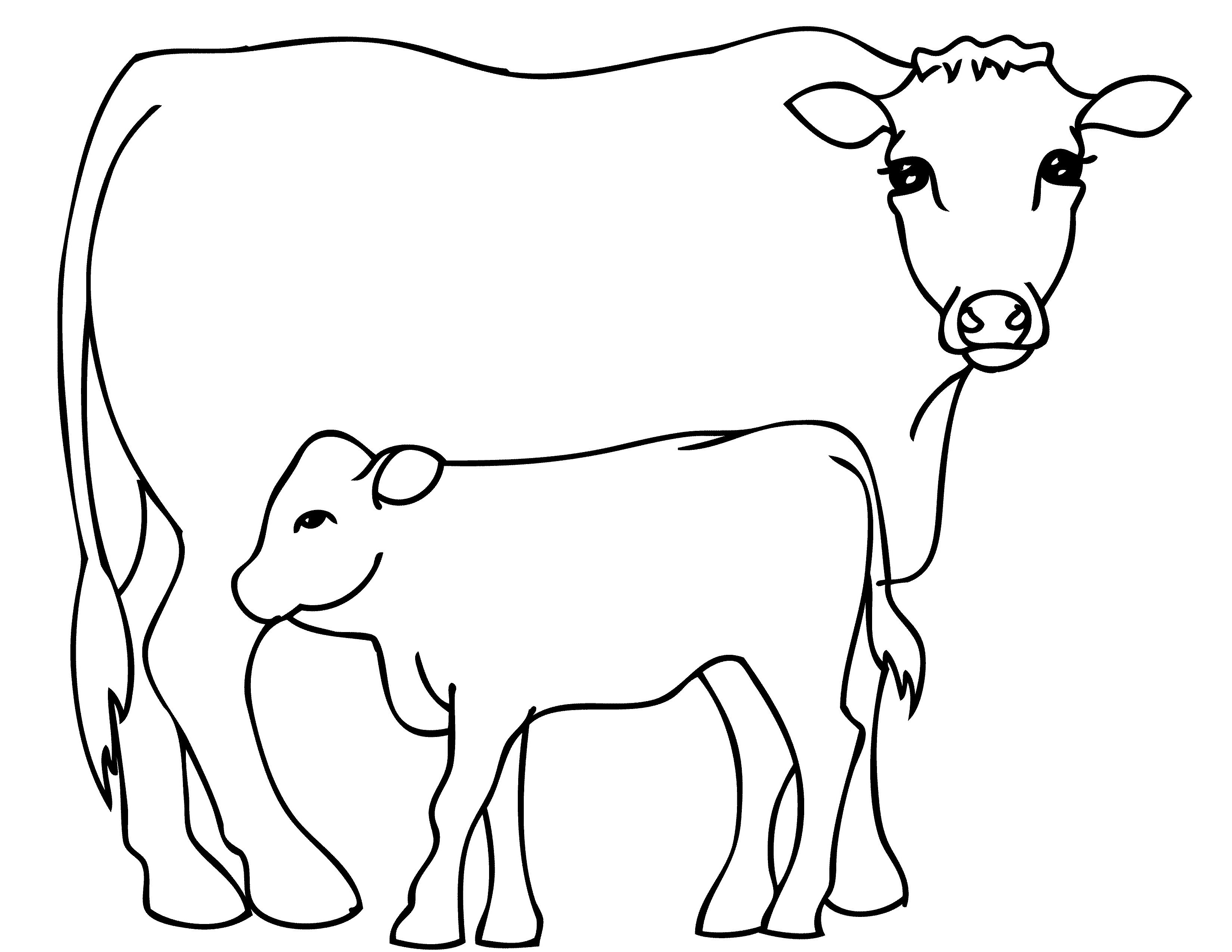 Рисунок коровы для раскрашивания