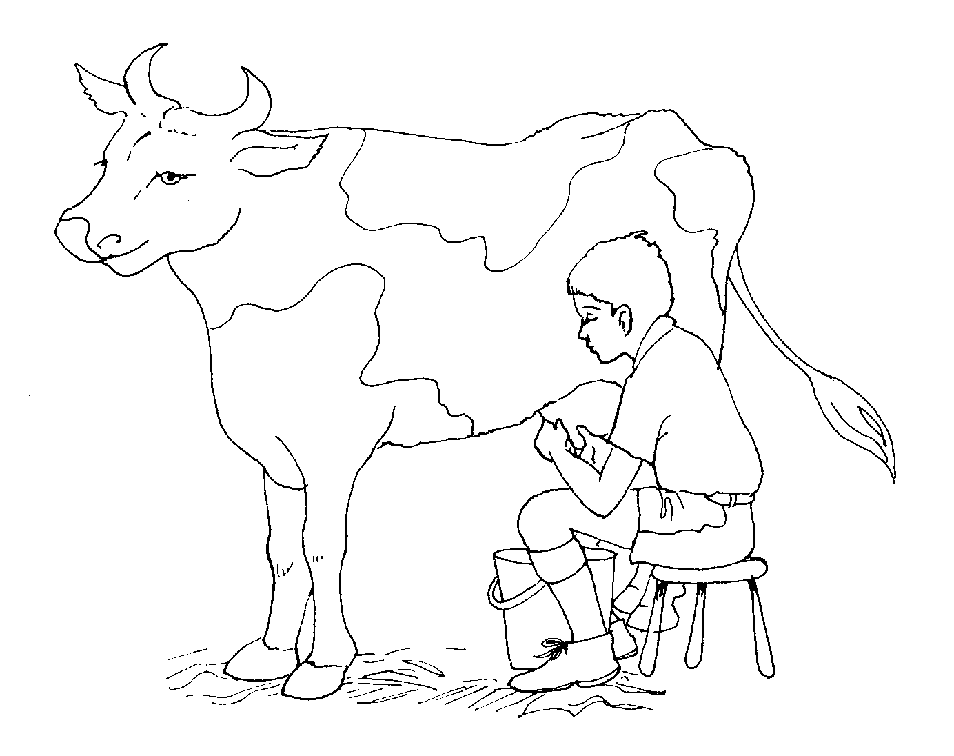 Корова и теленок картинки для детей раскраски