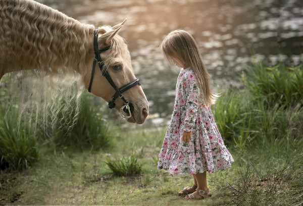 Фотосессия летняя лошади и дети