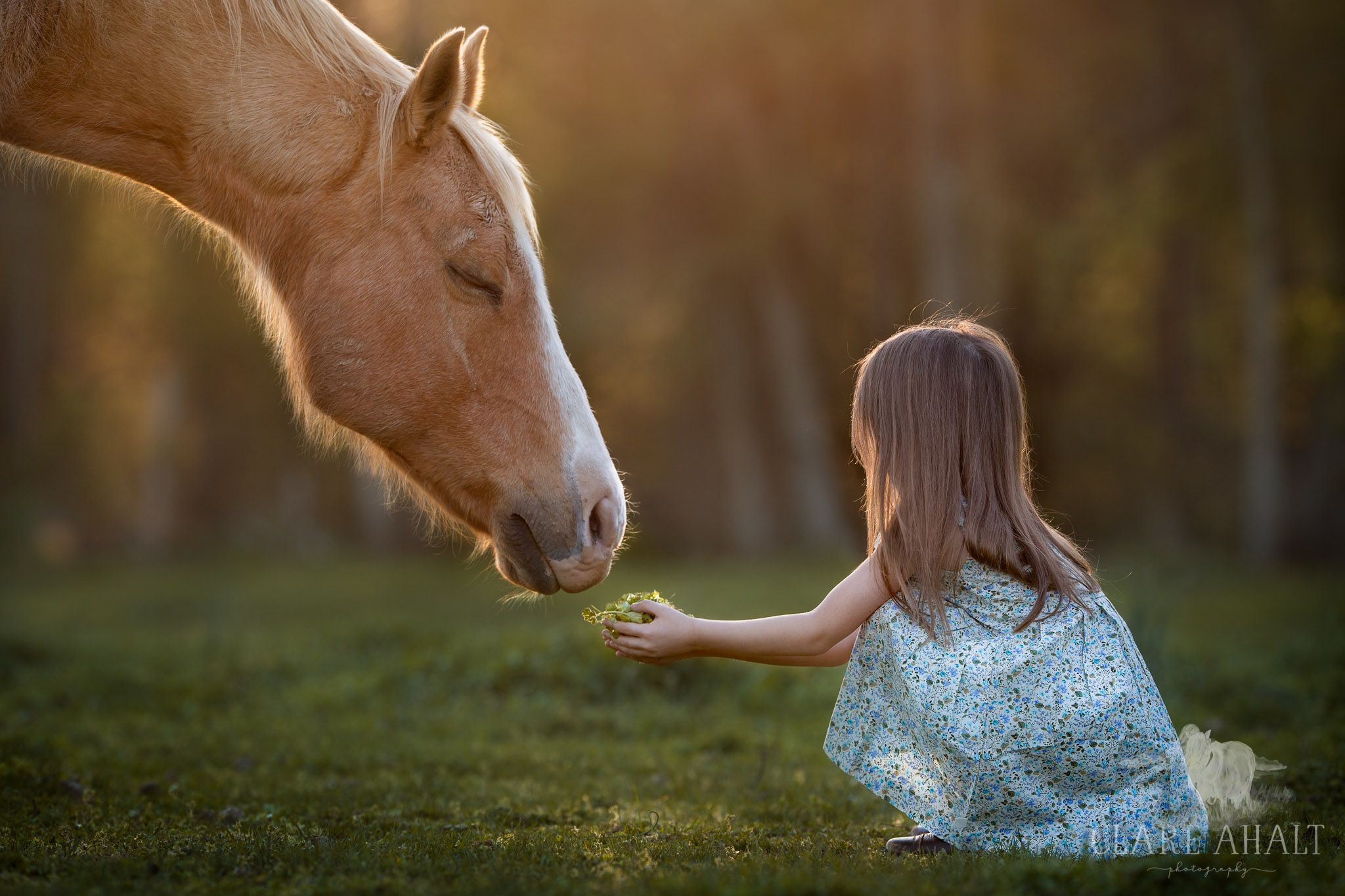 Ребенок рядом с лошадью