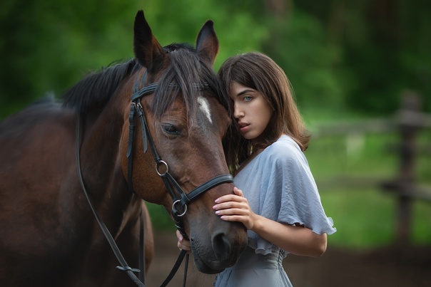 Девочка рядом с лошадью