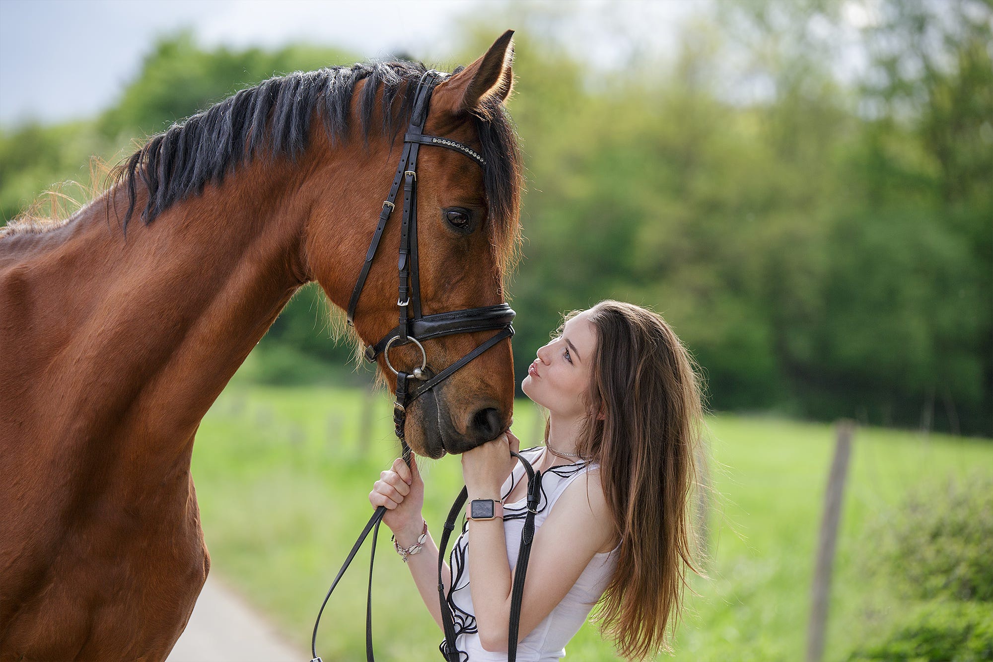Девушка с лошадью занимается