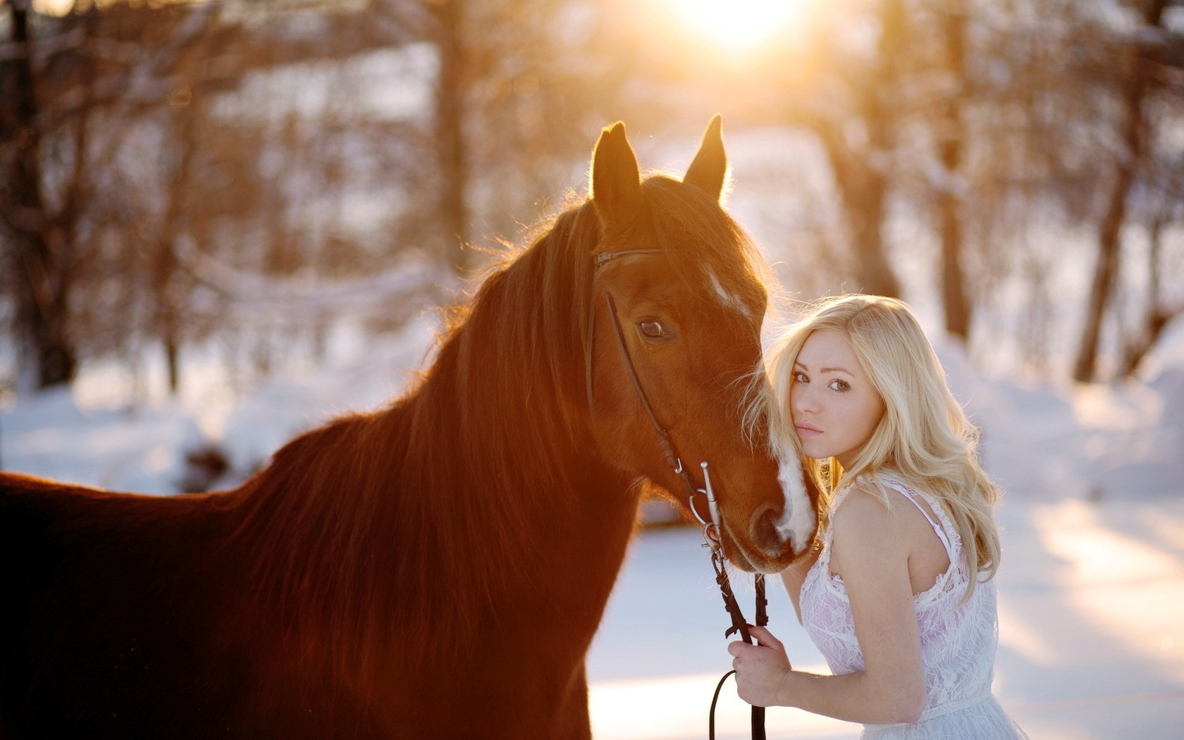 Блондинка на лошади