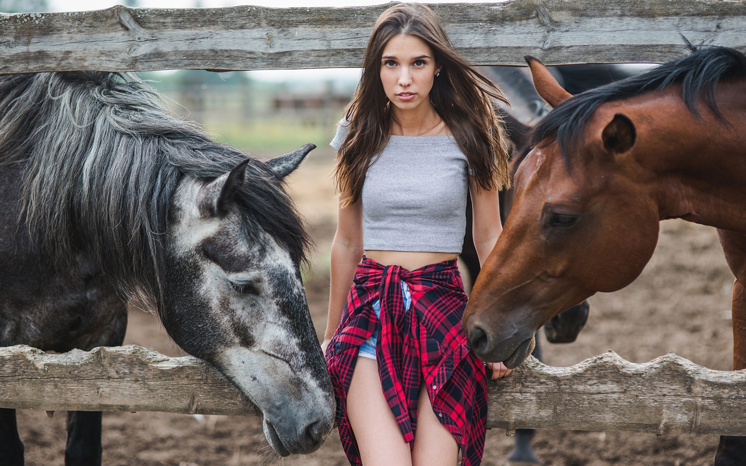 Девушка возле коня