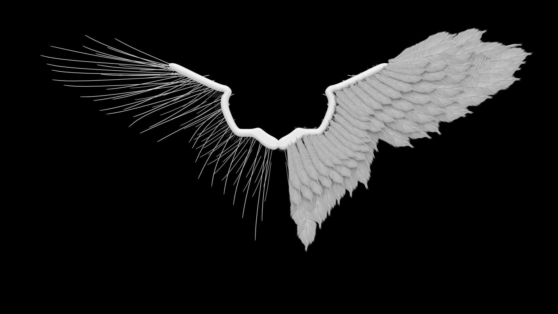 Черные ангельские Крылья