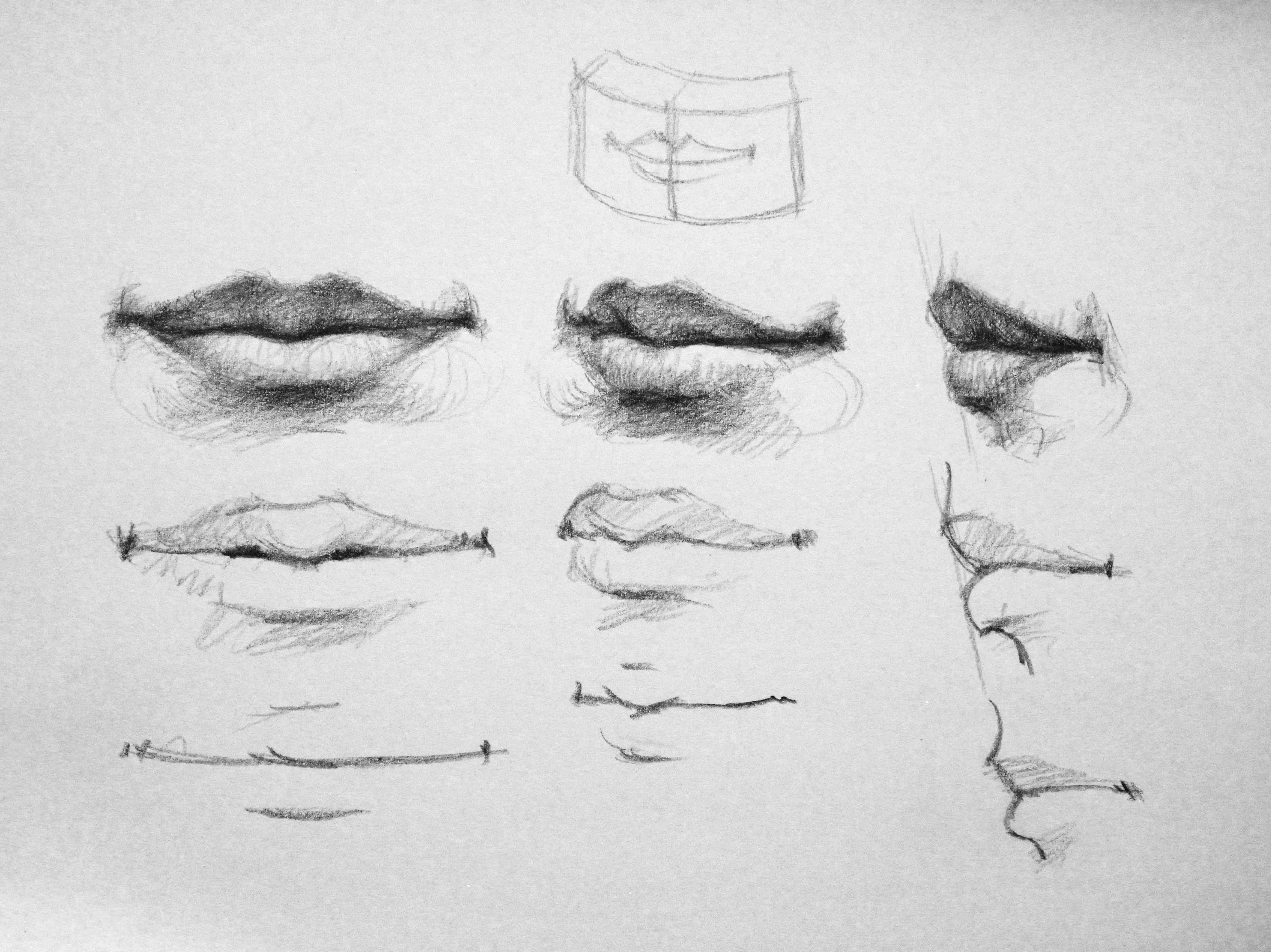 Уроки рисования карандашом губы