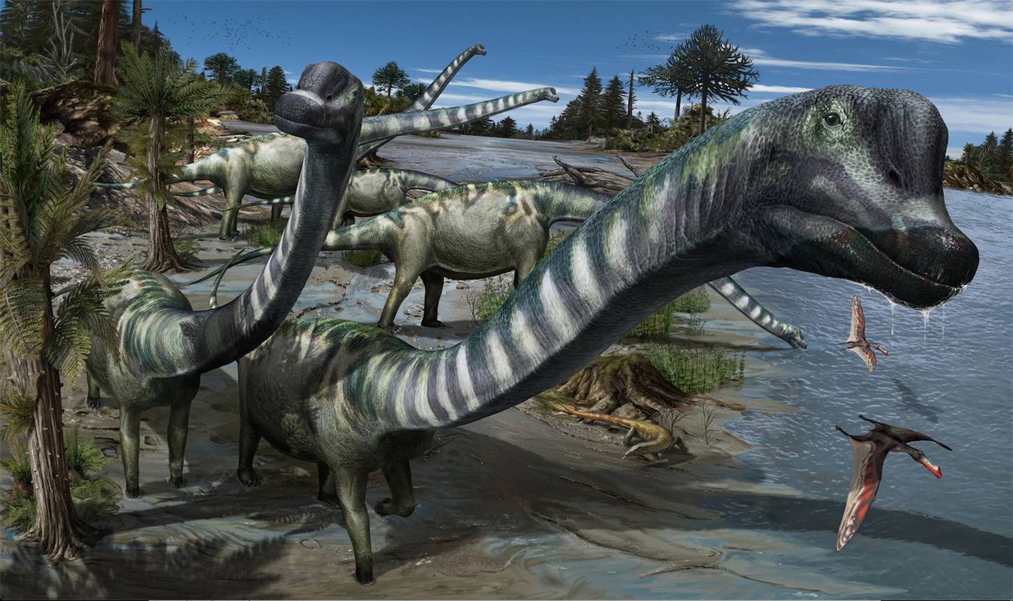 Динозавр у которого длинная шея