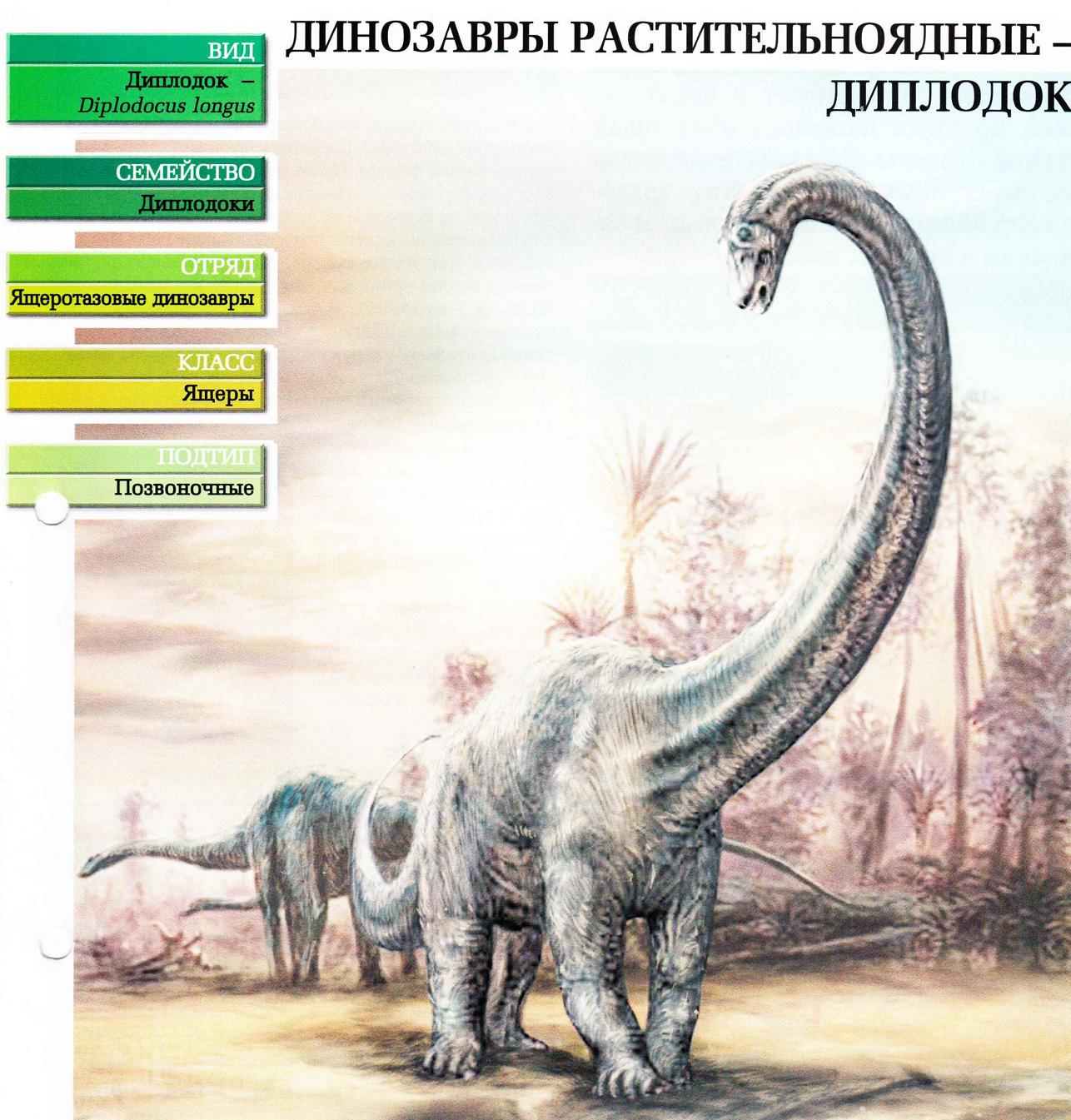 Самый большой динозавр с длинной шеей
