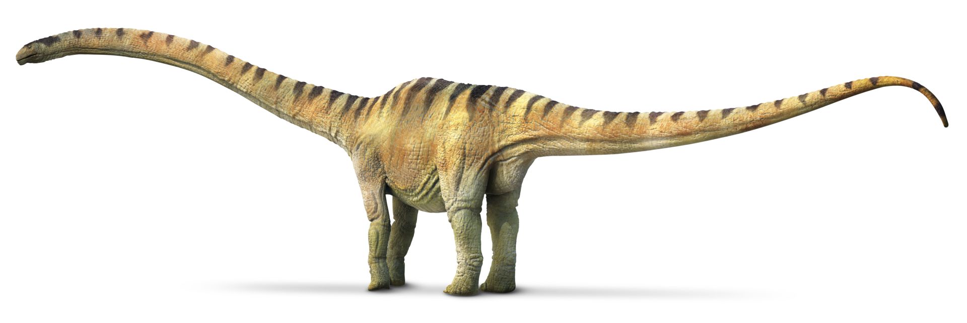 Маменчизавр игрушка