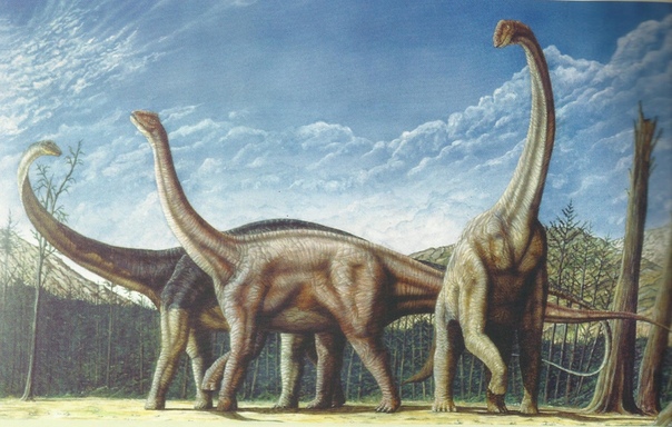 Динозавры травоядные Диплодок