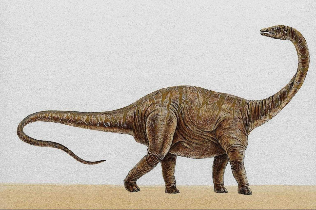 Динозавры Диплодок Бронтозавр