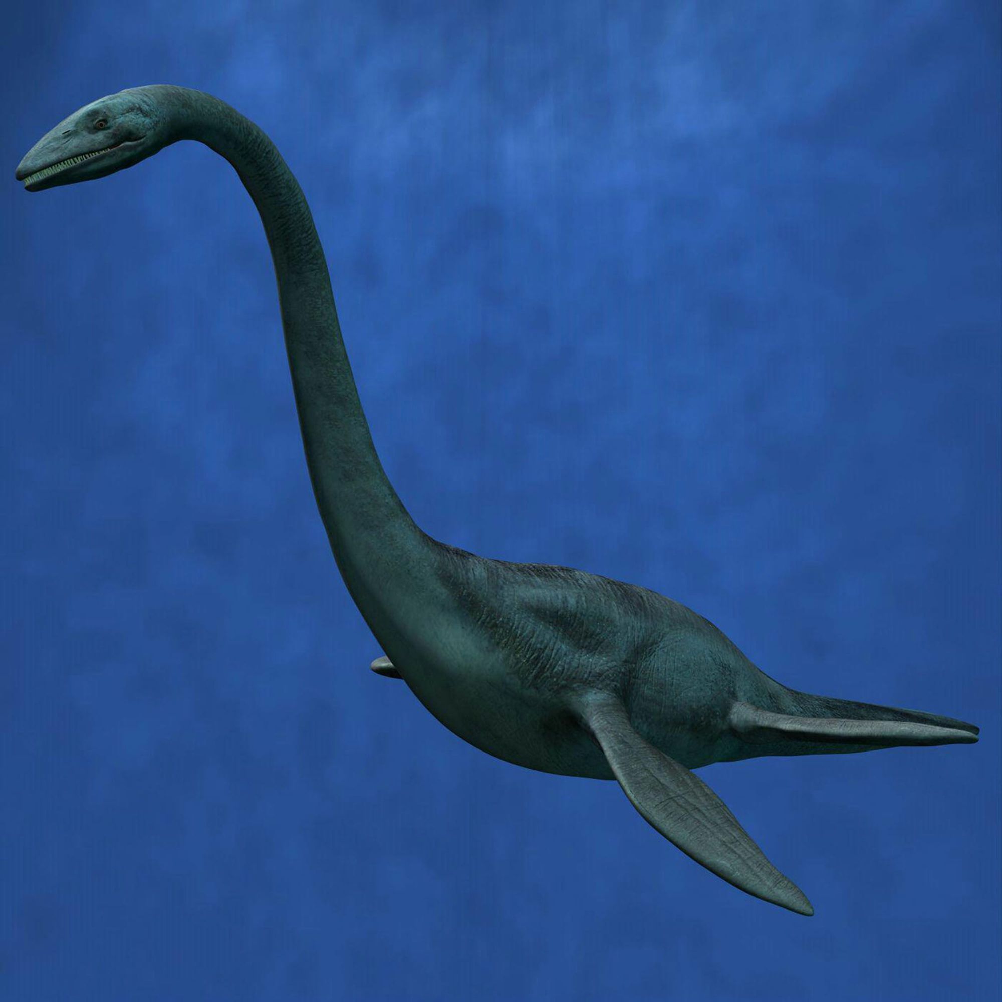 Эласмозавр и Плезиозавр