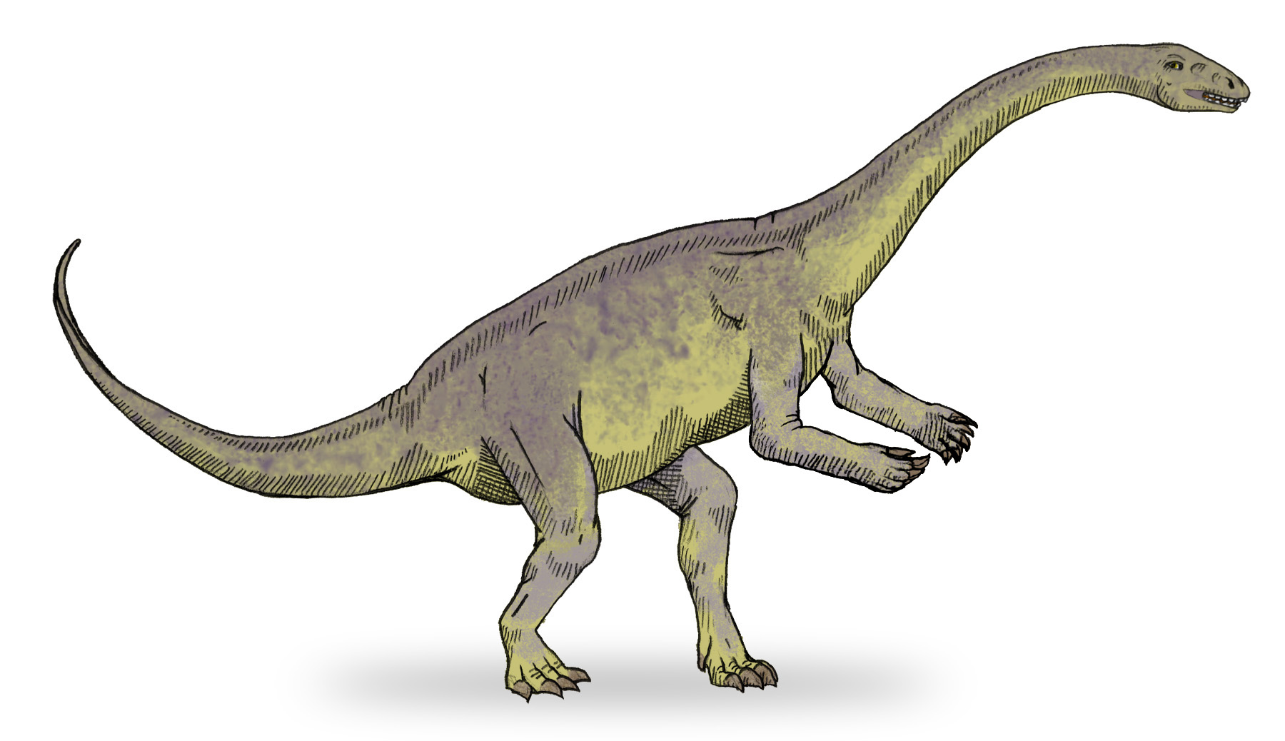 Массоспондил динозавр