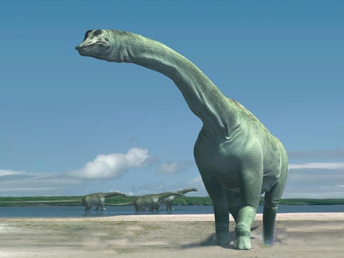 динозавры с длинной шеей как называются - 9354596