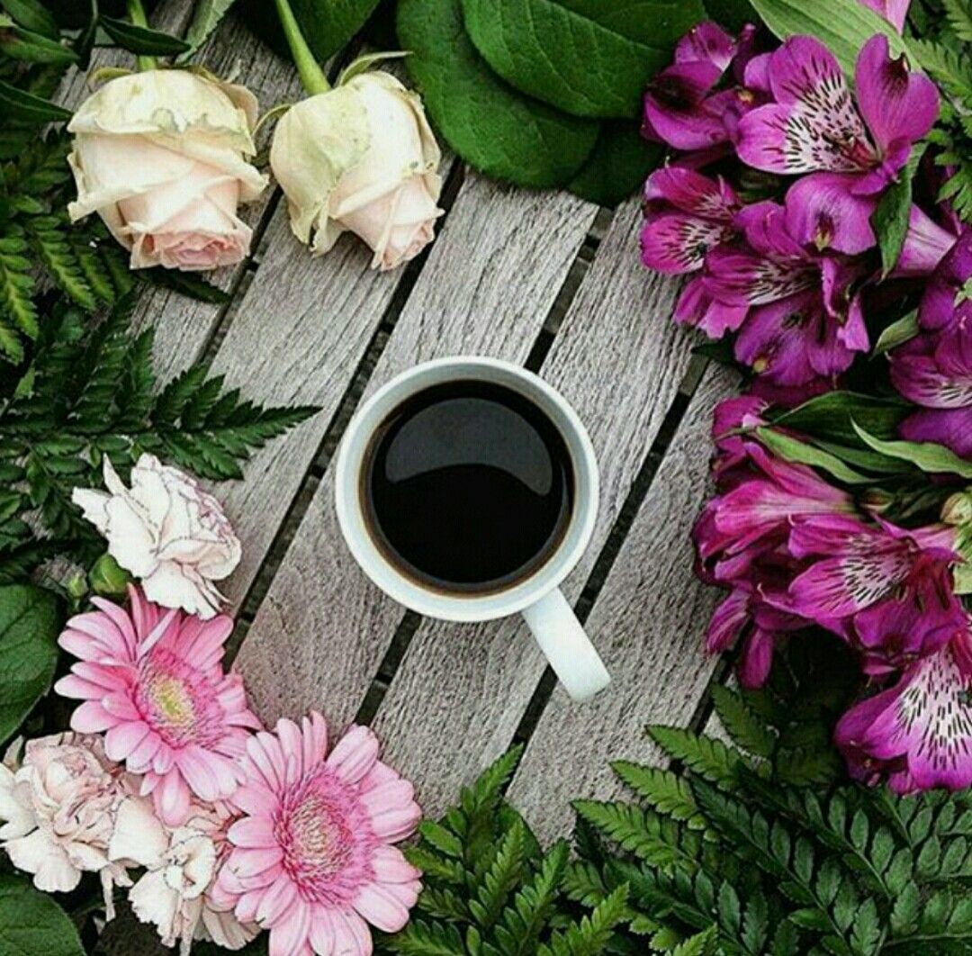 Лето кофе цветы