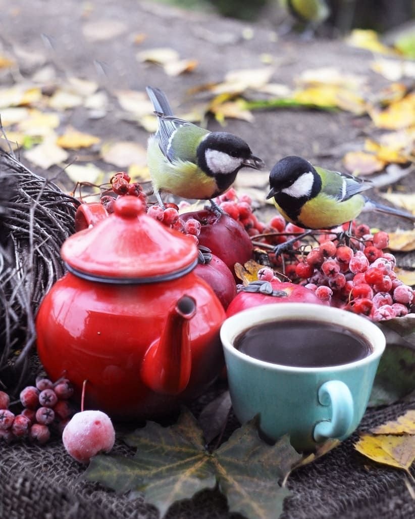 Осенние птицы с пожеланиями доброго утра